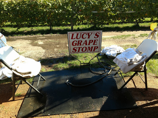 Winery «Next Chapter Winery», reviews and photos, 16945 320th St, New Prague, MN 56071, USA