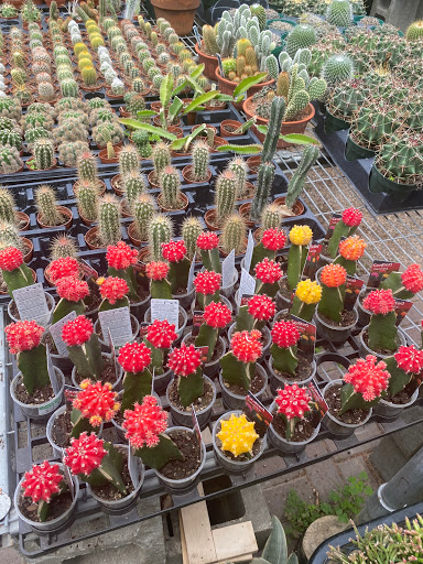 Plant Nursery «Goldner Walsh Garden and Home», reviews and photos, 559 Orchard Lake Rd, Pontiac, MI 48341, USA