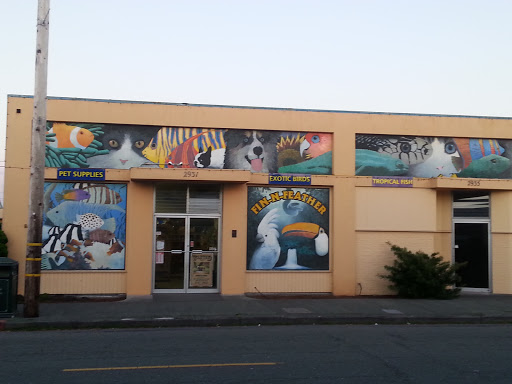 Pet Store «Fin-N-Feather», reviews and photos, 2931 F St, Eureka, CA 95501, USA