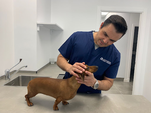 Clínica Veterinaria Asta Regia en Jerez de la Frontera