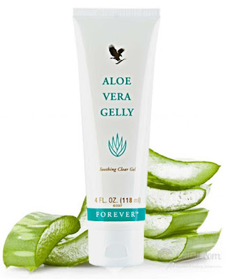 Aloe Vera 86 à Nouaillé-Maupertuis