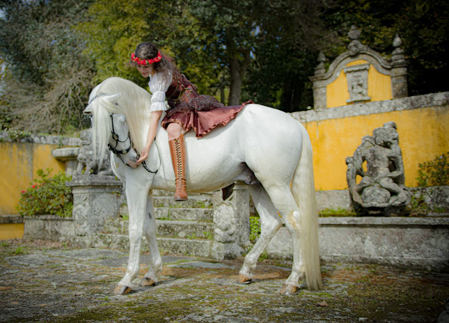 Avaliações doVIANAEQUESTRE - Associação Hípica de Viana do Castelo em Viana do Castelo - Campo de futebol