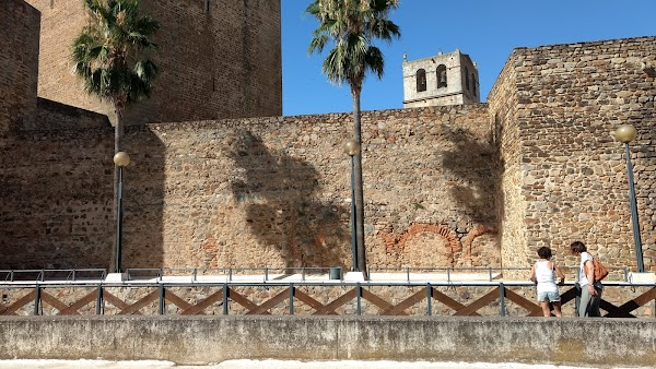 Imagen de Albergue municipal de Olivenza (15 de 26)