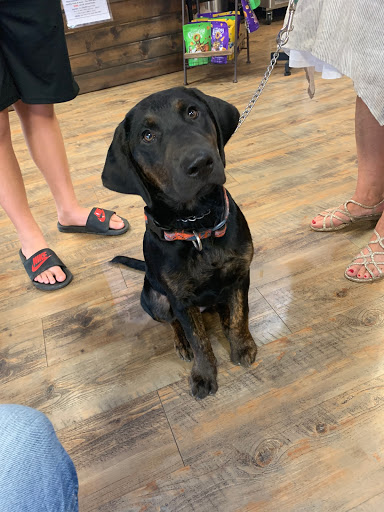 Pet Store «Earthwise Pet - Southlake», reviews and photos, 100 W Southlake Blvd #150, Southlake, TX 76092, USA