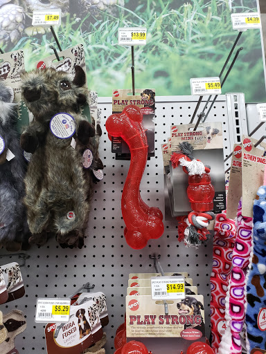 Pet Supply Store «Pet Club Rancho Cordova», reviews and photos, 2344 Sunrise Blvd, Rancho Cordova, CA 95670, USA