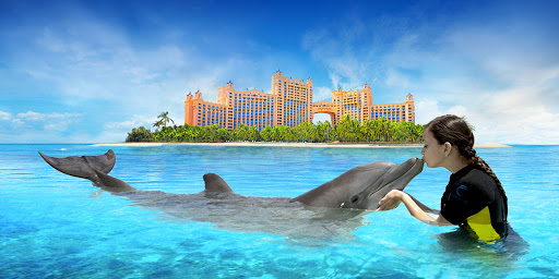 Travel Agency «TLR Travel», reviews and photos, 758 E Crosier St, Akron, OH 44306, USA