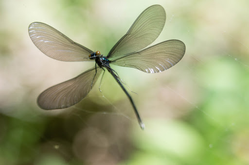 State Park «Swatara State Park», reviews and photos, 1450 Suedberg Rd, Pine Grove, PA 17963, USA