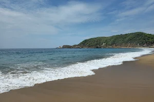 Mazunte Beach image