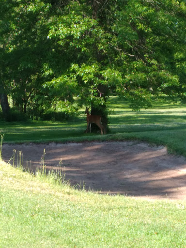 Golf Course «Christopher Morley Park Golf», reviews and photos, 500 Searingtown Rd, Roslyn, NY 11576, USA