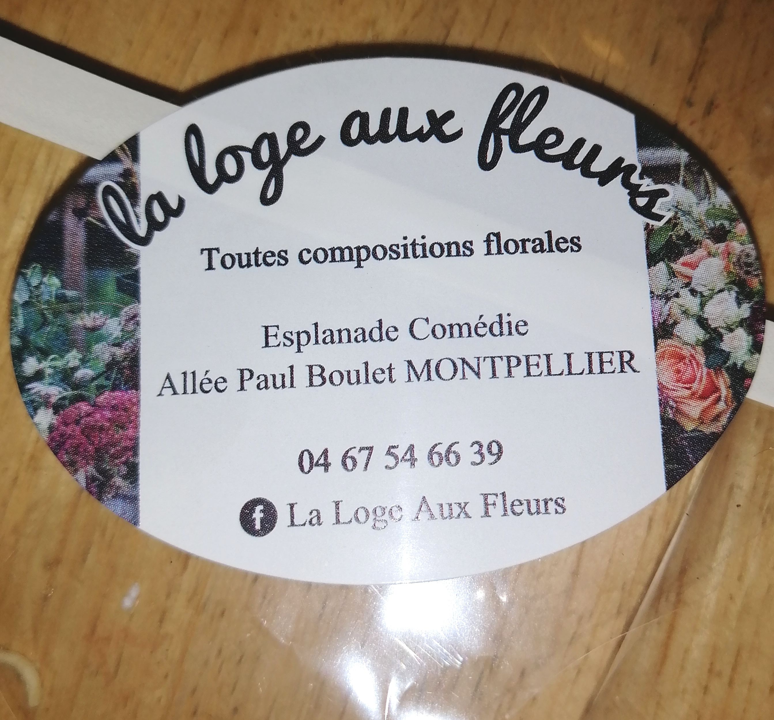 Photo n° 1 de l'avis de cloe.e fait le 18/08/2022 à 20:19
