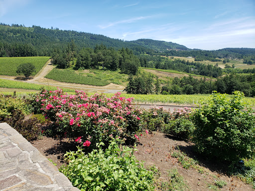 Winery «Colene Clemens Vineyards», reviews and photos, 22501 NE Dopp Rd, Newberg, OR 97132, USA