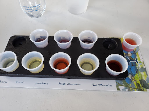 Winery «True Blue Winery», reviews and photos, 604 Pink Apartment Rd, Davenport, FL 33837, USA