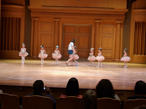 Performing Arts Theater «Falany Performing Arts Center», reviews and photos, 7300 Reinhardt College Pkwy, Waleska, GA 30183, USA