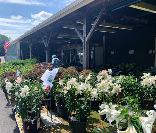 Produce Market «Idylwilde Farms», reviews and photos, 366 Central St, Acton, MA 01720, USA