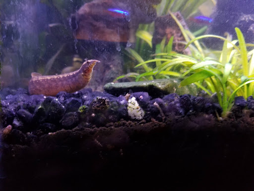 Pet Supply Store «Petco Animal Supplies», reviews and photos, 11633 Ulysses Ln NE #200, Blaine, MN 55434, USA