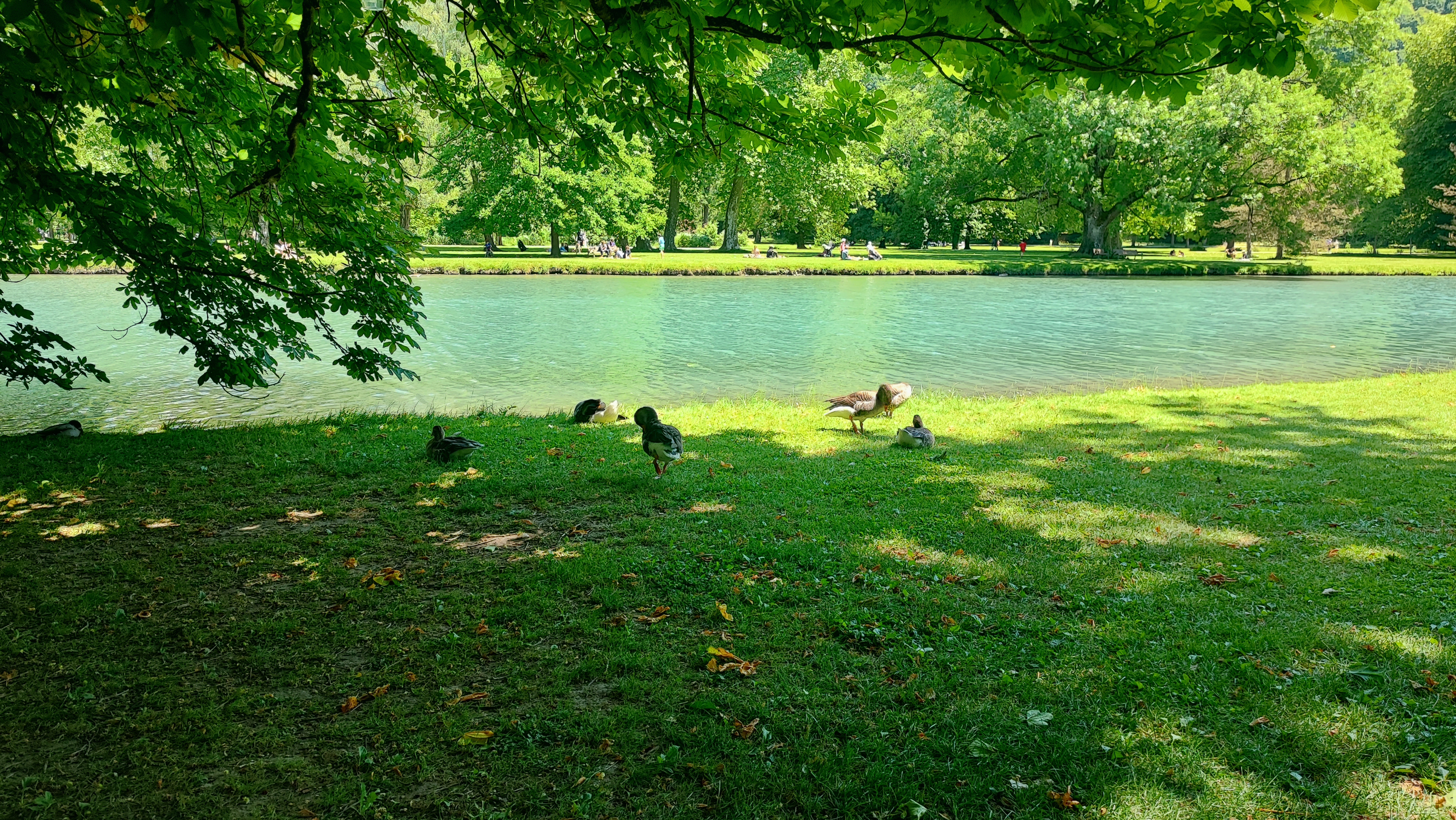 Photo n° 2 de l'avis de Maëva.O fait le 26/06/2022 à 17:00