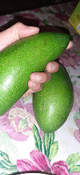 El Aguacate