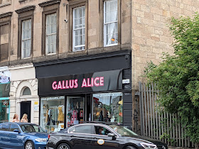 Gallus Alice