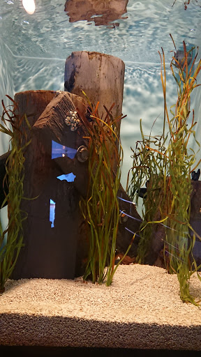 Aquarium «Aquarium of Niagara», reviews and photos, 701 Whirlpool St, Niagara Falls, NY 14301, USA
