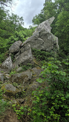 Pierre Bécue à Saint-Céneri-le-Gérei