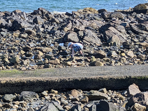 Memorial Park «Beverly David S Lynch Park», reviews and photos, 55 Ober St, Beverly, MA 01915, USA