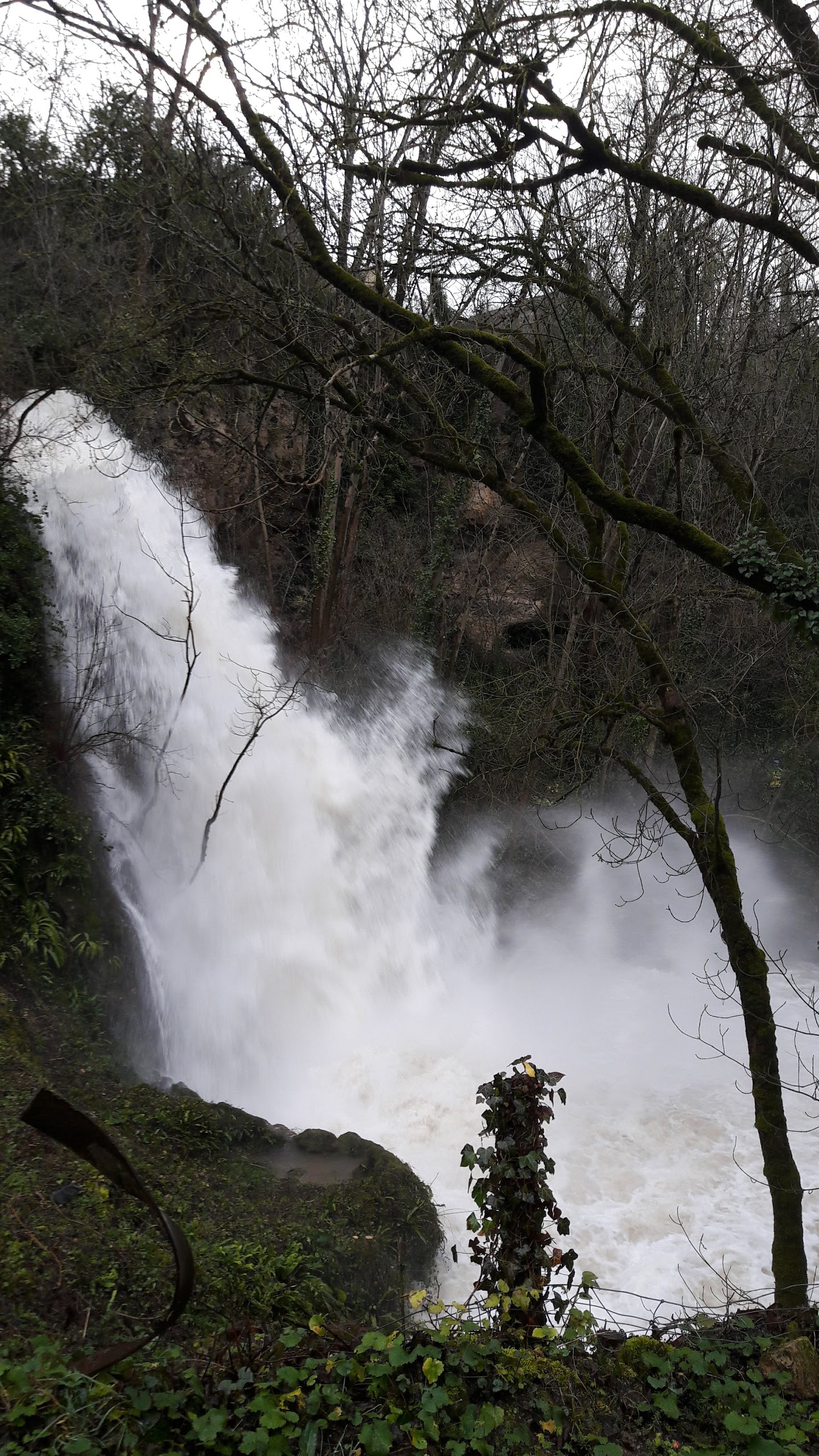Photo n° 1 de l'avis de Ruud.o fait le 07/01/2018 à 10:03