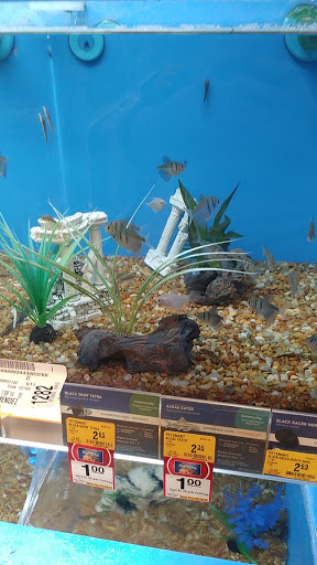 Pet Supply Store «PetSmart», reviews and photos, 6060 Long Prairie Rd, Flower Mound, TX 75028, USA