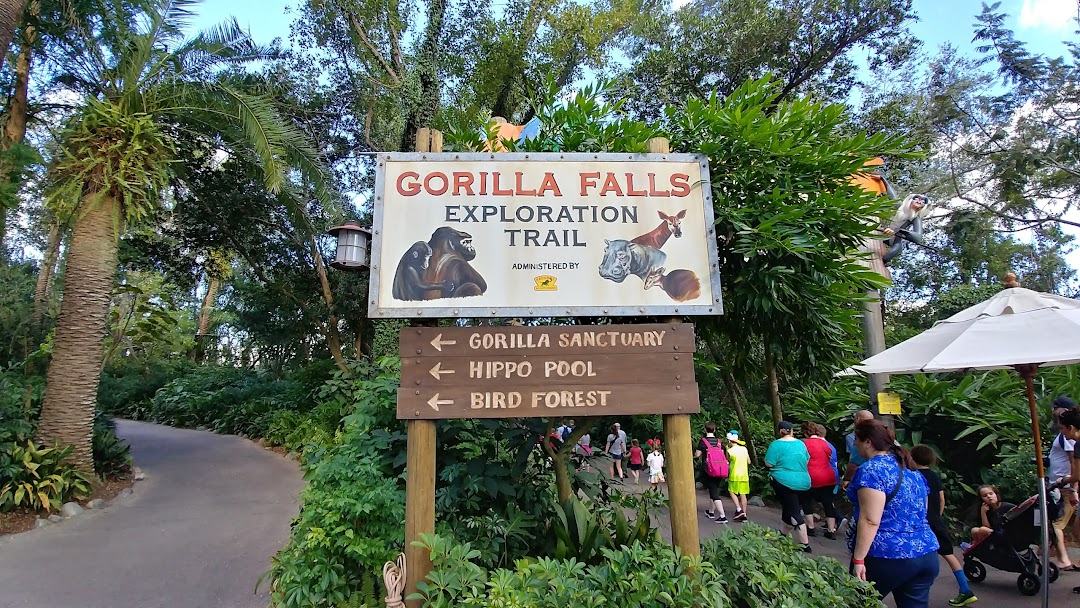 Gorilla Falls Exploration Trail