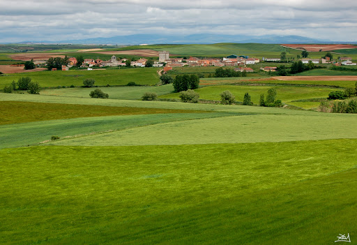 NUAL en Arenillas de Muñó, Burgos