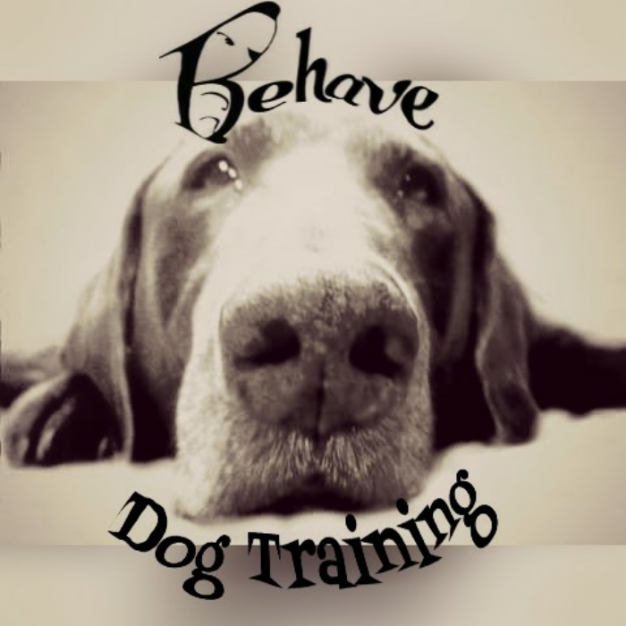 Behave Dog Training
