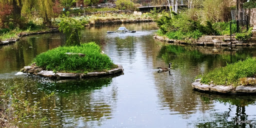 Park «Lincoln Park», reviews and photos, 2045 N Lincoln Park W, Chicago, IL 60614, USA