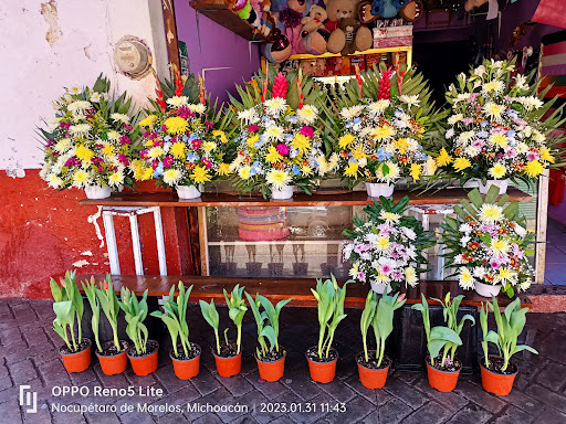 Floreria – Nocupétaro de Morelos