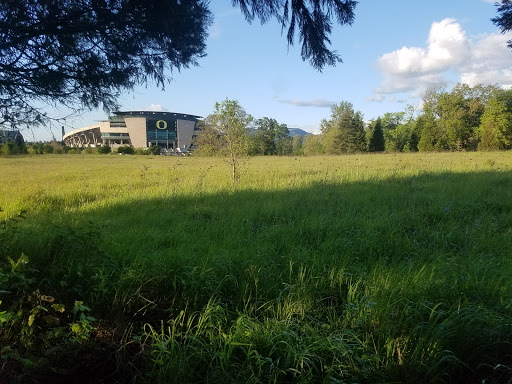 Amphitheater «The Cuthbert Amphitheater», reviews and photos, 2300 Leo Harris Pkwy, Eugene, OR 97401, USA