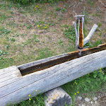 Photo n°2 de l'avis de peter.a fait le 07/07/2019 à 14:49 sur le  Munt da Rina Welschellener Alm à Badia