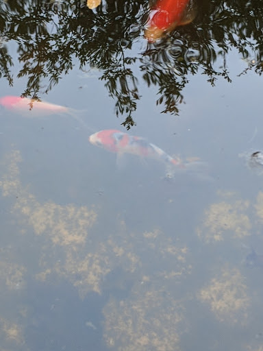 Pet Supply Store «Petco Animal Supplies», reviews and photos, 3194 FM407, Highland Village, TX 75077, USA