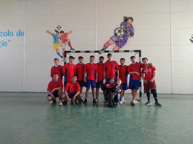 Colegiul Tehnic Miron Costin