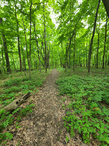 Nature Preserve «Oakhurst Forest Preserve», reviews and photos, 1680 5th Ave, Aurora, IL 60504, USA