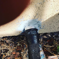 Rizon Pest Solutions - Photo 5 - Car repair in Modesto, CA, Modesto