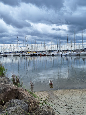 Port de Nonsard - Lac de Madine à Nonsard-Lamarche