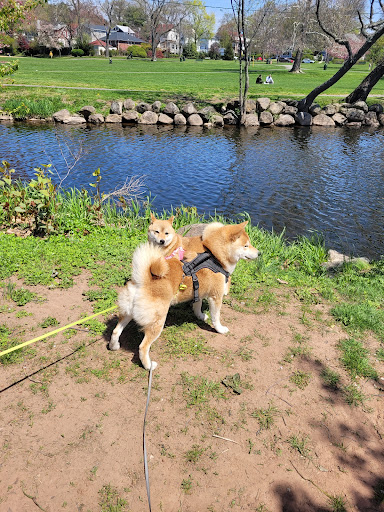 Park «Taylor Park», reviews and photos, 100 Main St, Millburn, NJ 07041, USA