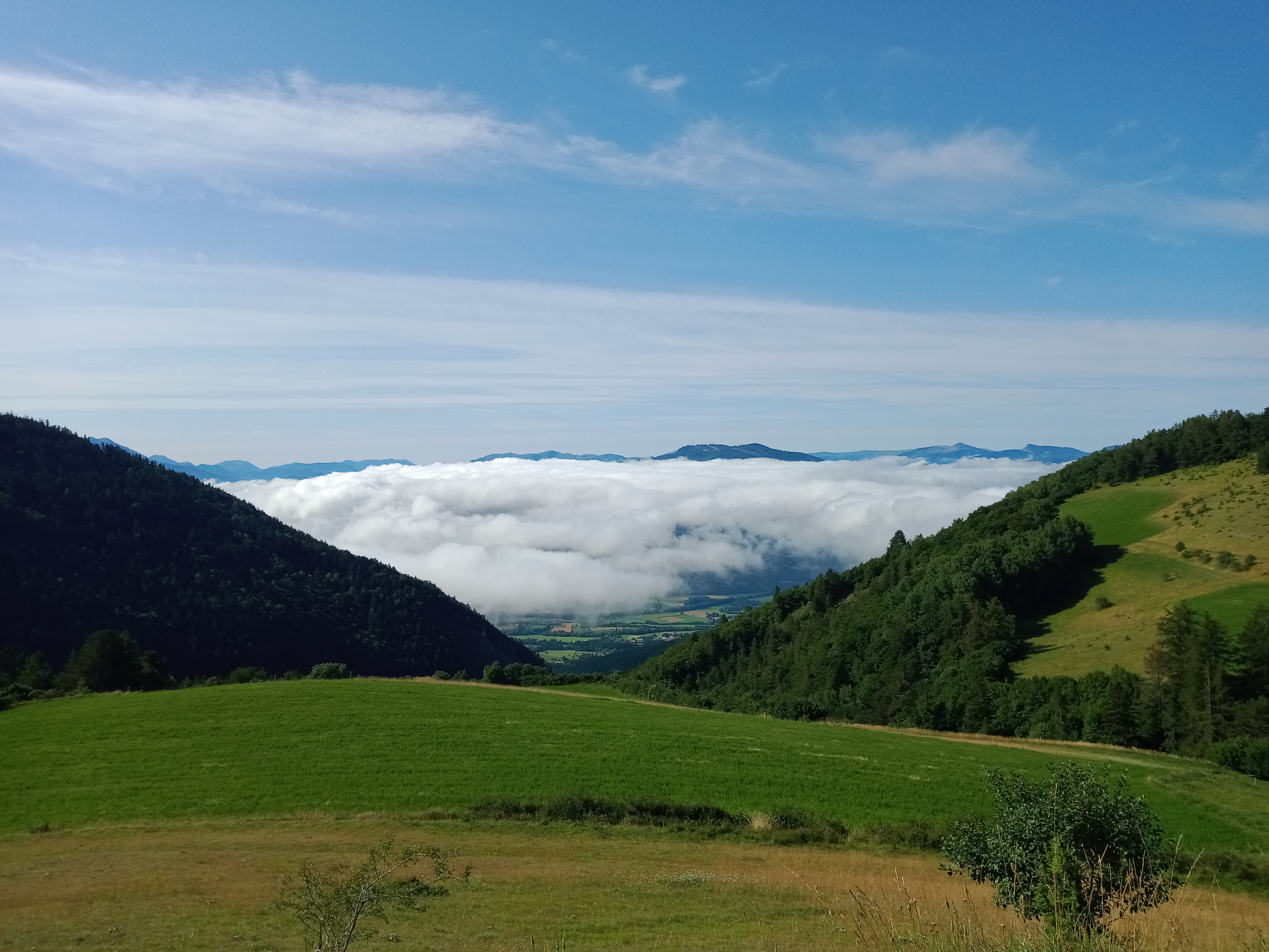 Photo n° 2 de l'avis de Michel.e fait le 09/08/2021 à 07:06