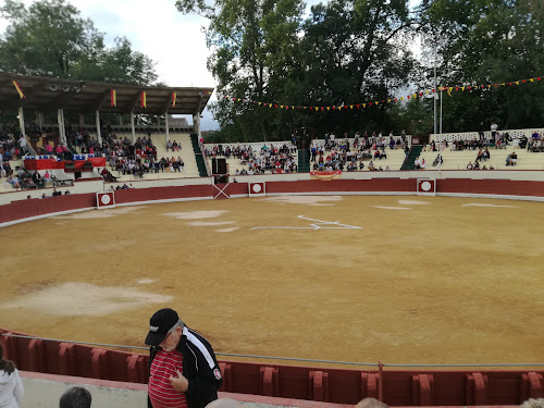 Piscine Municipale à Orthez