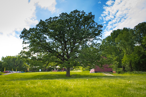 Winery «Morgan Creek Vineyards and Winery», reviews and photos, 23707 478th Ave, New Ulm, MN 56073, USA