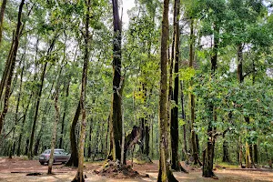 Pilarkhana Forest image