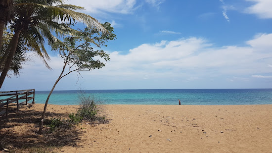 Beach N'Gouja
