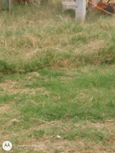 Laundromat «Brite Wash Laundromat», reviews and photos, 1320 A Ave, Douglas, AZ 85607, USA