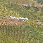 Photo n°2 de l'avis de Marcel.k fait le 20/11/2023 à 19:48 sur le  Weinhotel Lenz à Pünderich