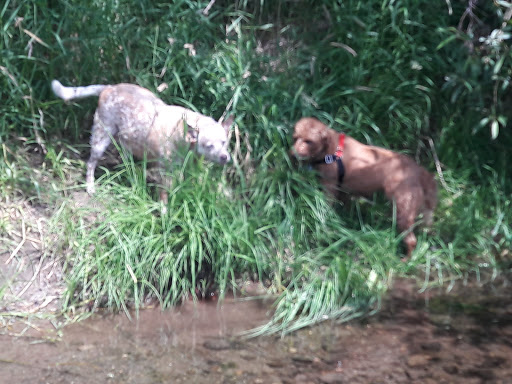 Pet Store «Yelm Farm & Pet», reviews and photos, 11242 Bald Hill Rd SE, Yelm, WA 98597, USA