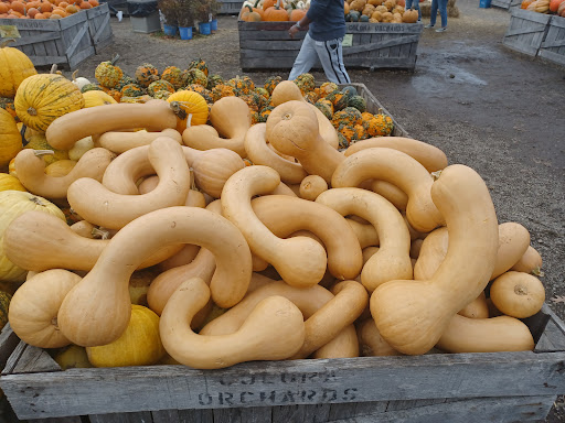 Produce Market «Linvilla Orchards», reviews and photos, 137 Knowlton Rd, Media, PA 19063, USA