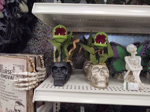 Craft Store «Michaels», reviews and photos, 40 Square Dr, Victor, NY 14564, USA